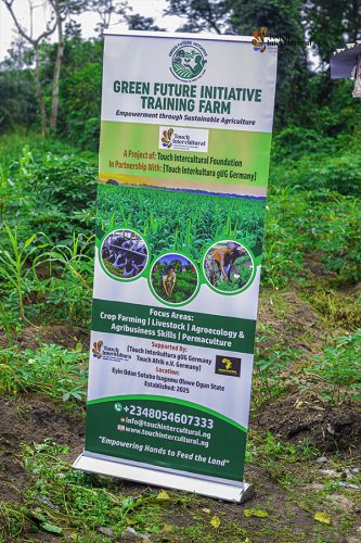 Touch-Intercultural-farm-project20